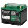 Lithium Batterie LiFePO₄ 100 Ah