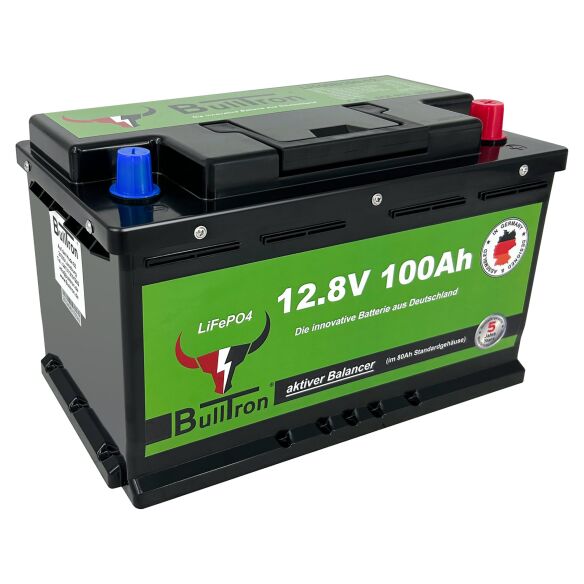 Lithium Batterie Standard, 100 Ah