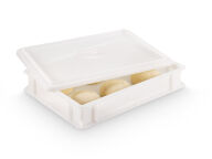 Pizzaballenbox inkl. Deckel 6,4 L (40x 30x 7 cm)  1570
